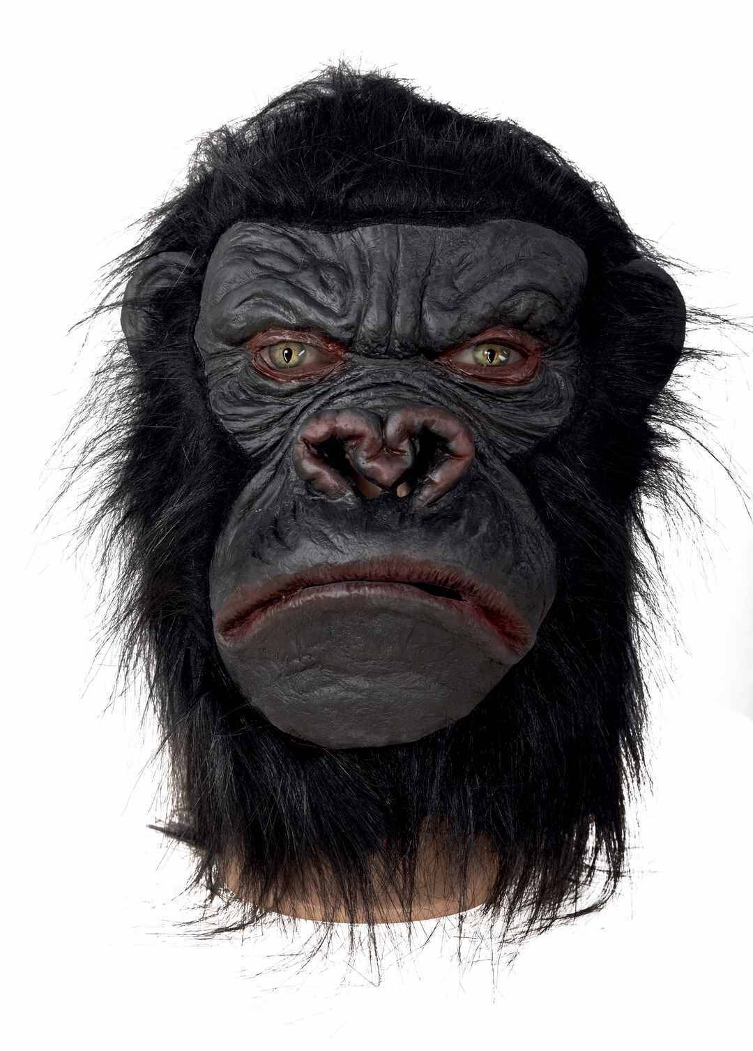 10204