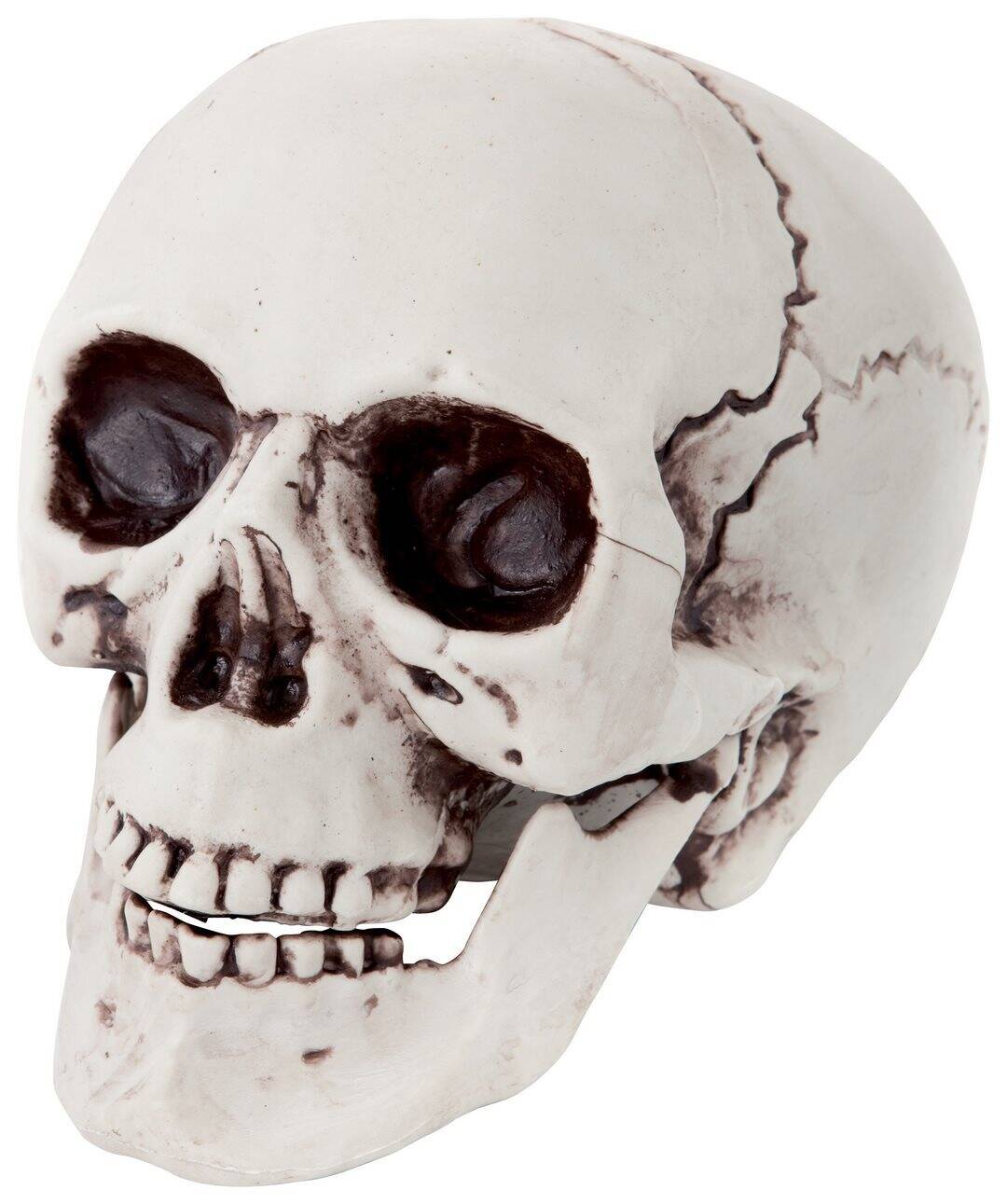 11690