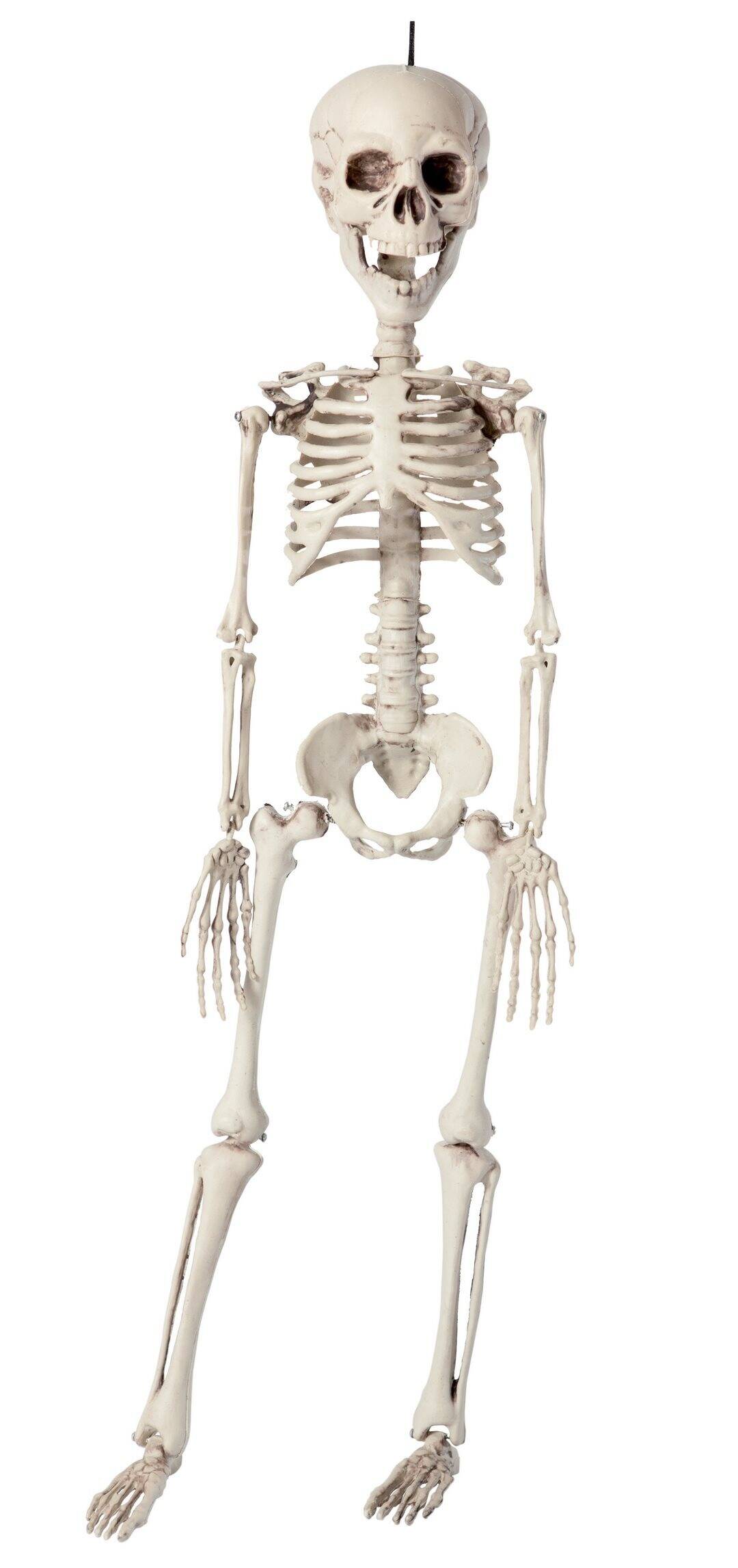 13444