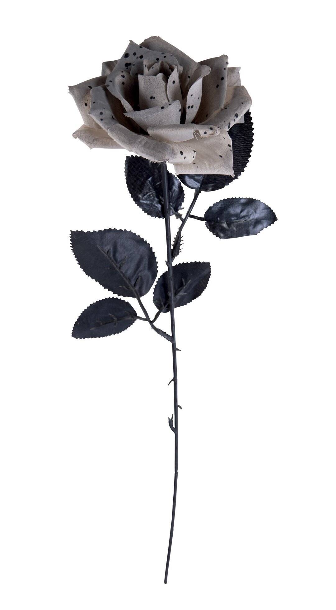 22201