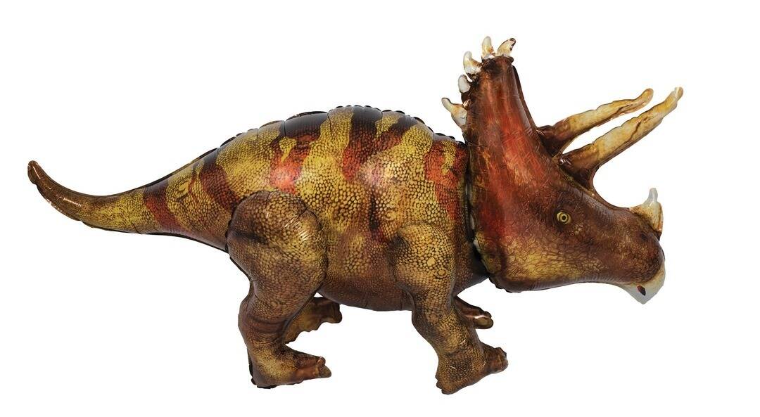 22772