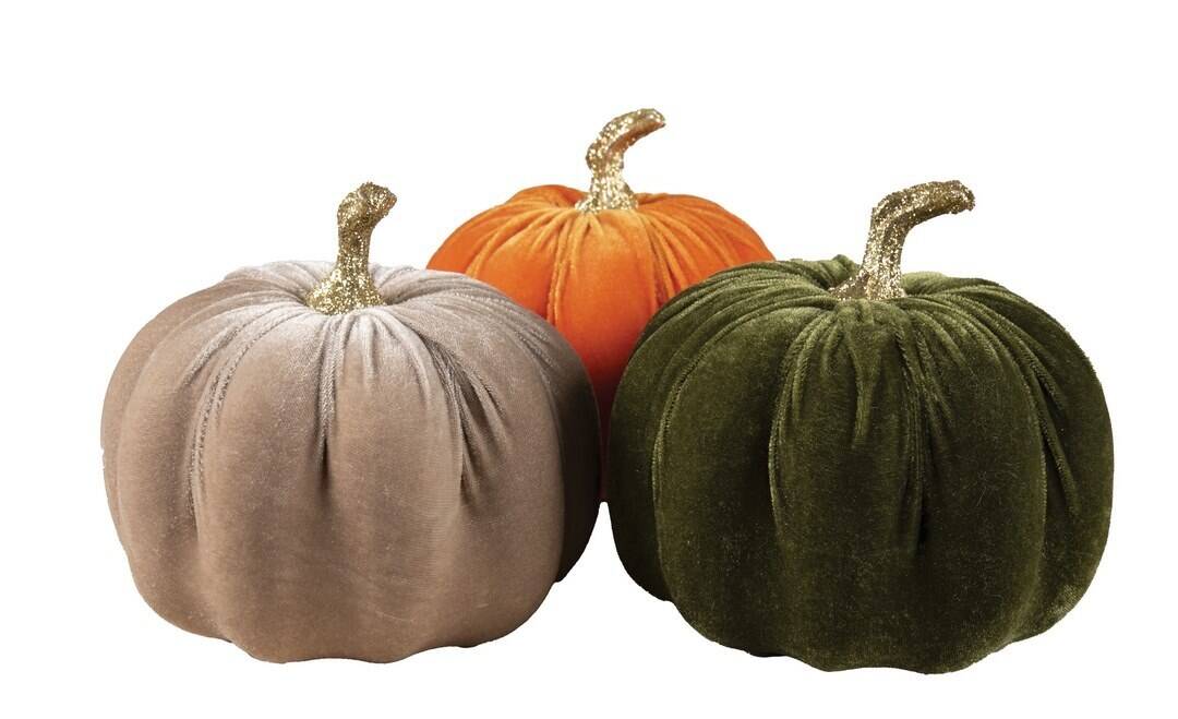 23151