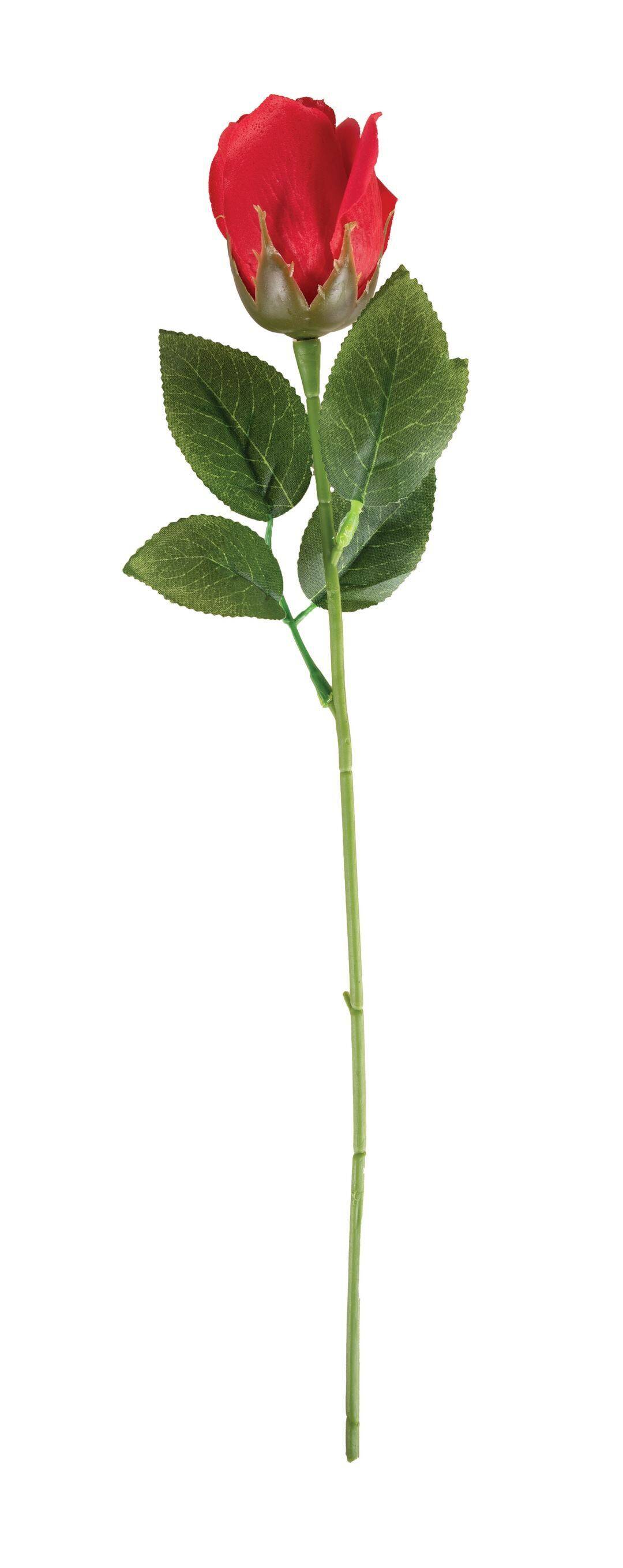 23270