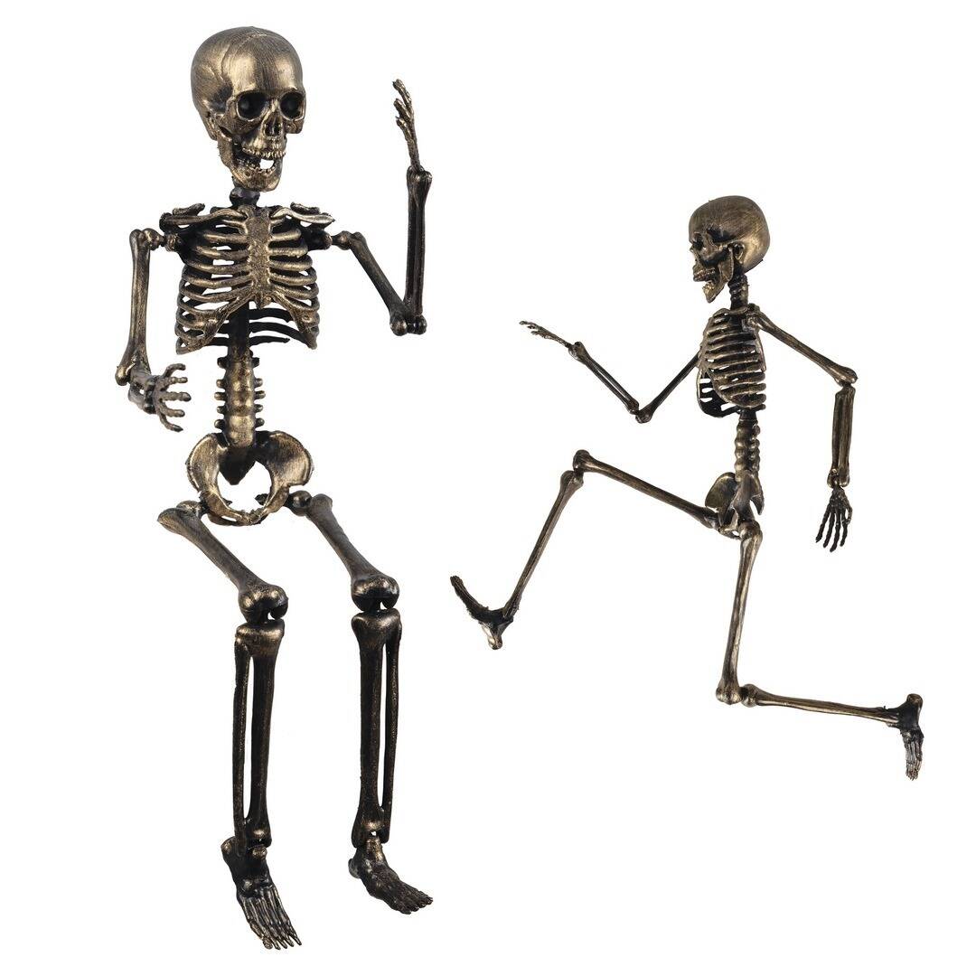 23569