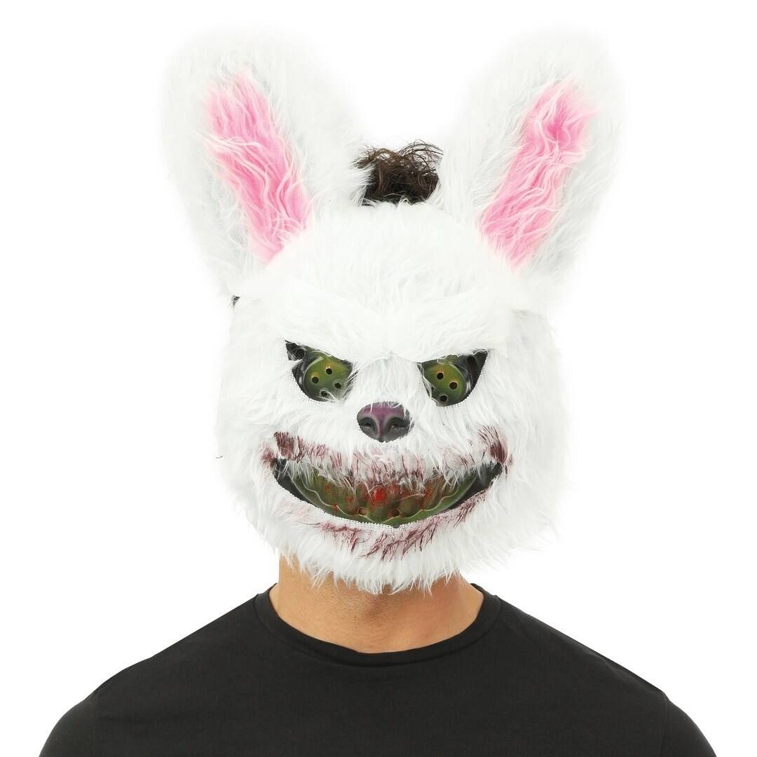 24049