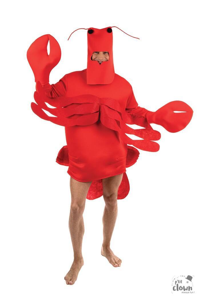 41685