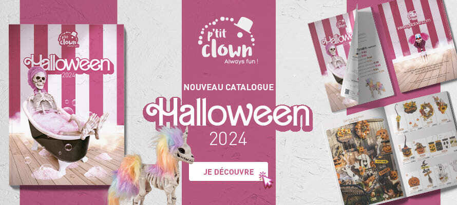 ban_webpro_cataHW_2024_FR (1)
