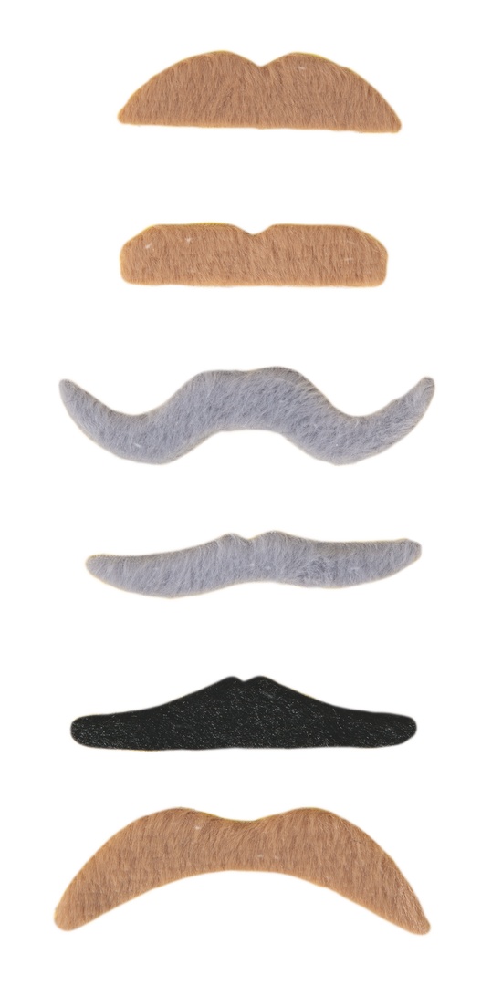 Lot de 6 moustaches noires, grises et marrons