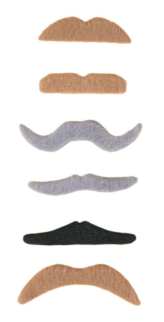 Lot de 6 moustaches noires, grises et marrons