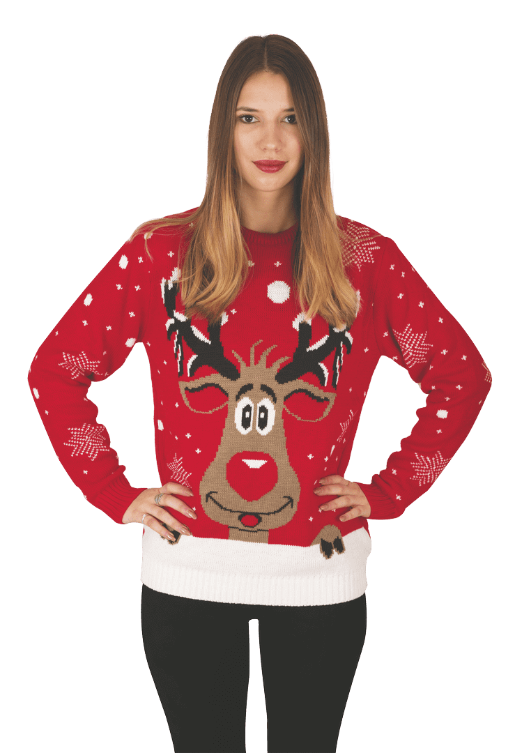 pull de noel