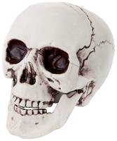 11690