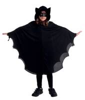 22068