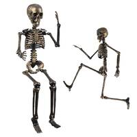 23569