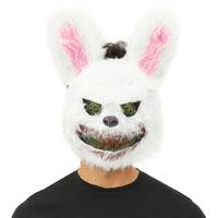 24049