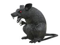 44040
